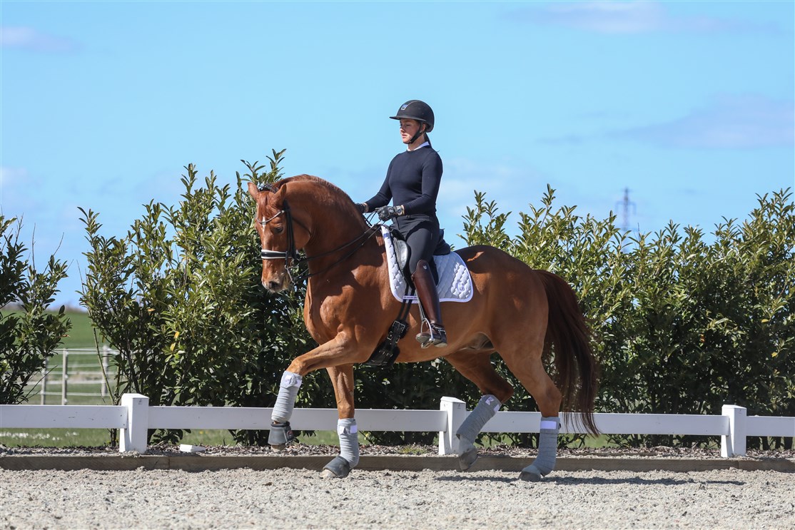 Atterupgaards Cassidy and Cathrine Laudrup Dufour, showcased here in action, form a remarkable duo that plays an integral role in Finesse Bridles. We are immensely proud to have their support throughout our journey.