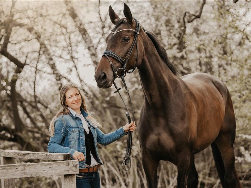 ABOUT FINESSE BRIDLES