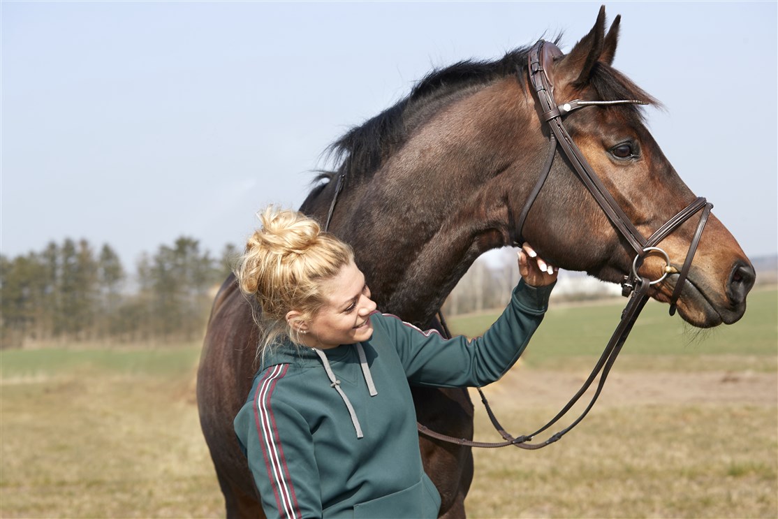 Zorro is the first foal of his mother, Finesse. He has been sold to a very lovely family who loves him very much.