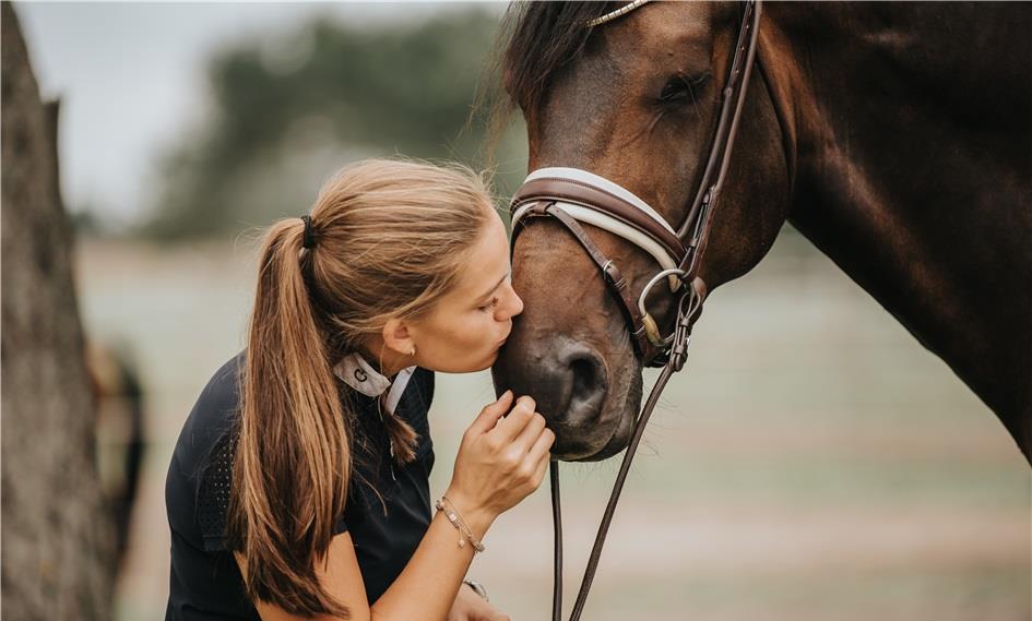 FIND THE RIGHT SIZE TO YOUR HORSE